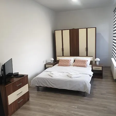 D&s Novi Sad